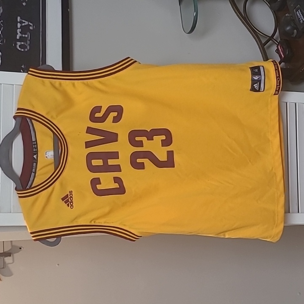 Cleveland cavaliers lebron james jersey